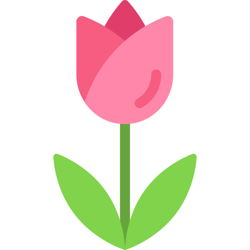 Tulip